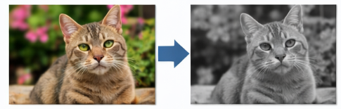 การประมวลผลภาพ (DIGITAL IMAGE PROCESSING)