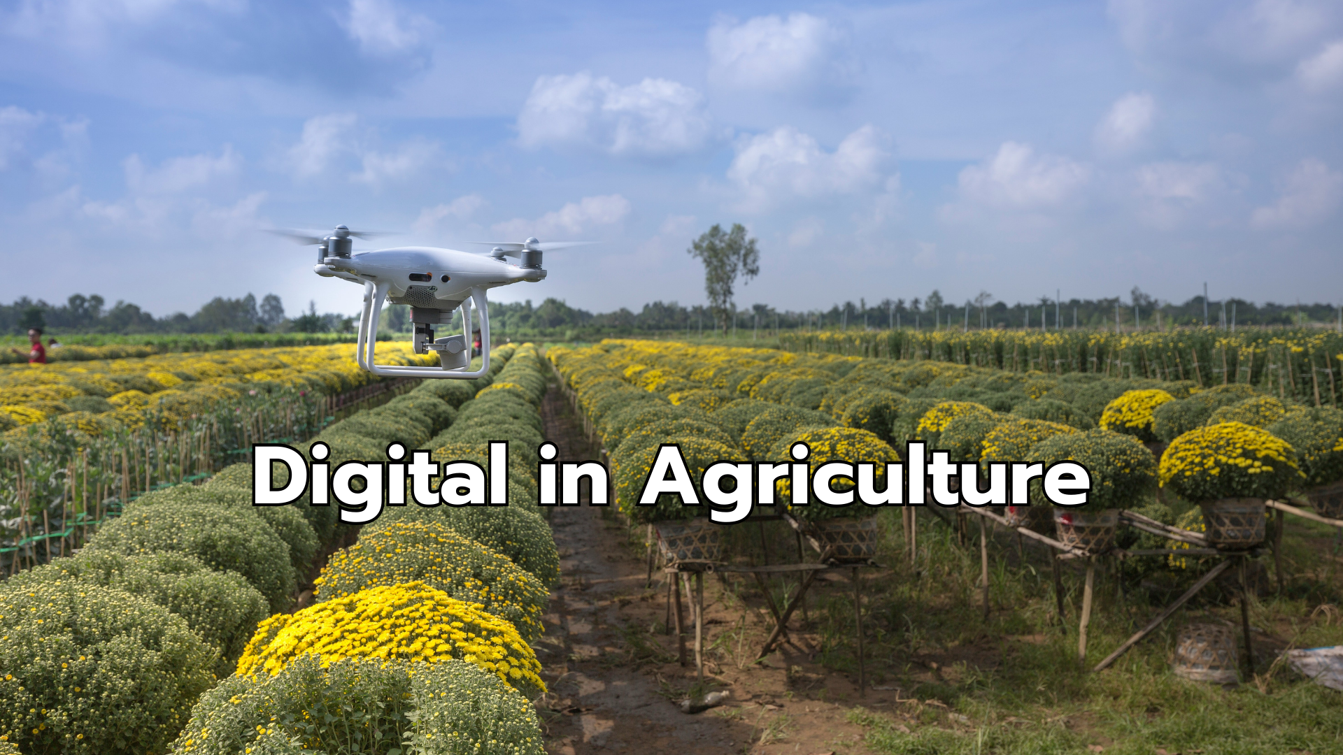 Digital in Agriculture